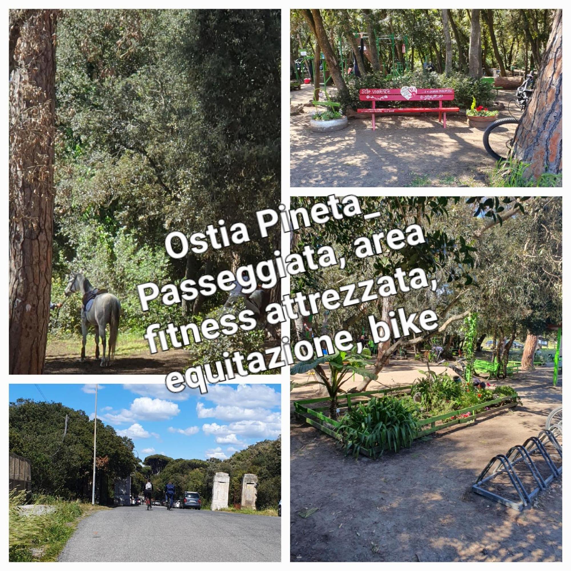 Casa Diana Ostia Apartment Bagian luar foto